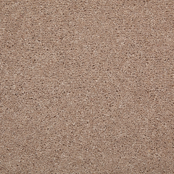 SUEDE